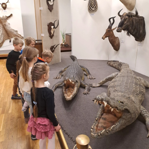 Zoologijos muziejuje